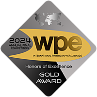 WPE Gold Badge Annual Final 2024 Fine Art Nude